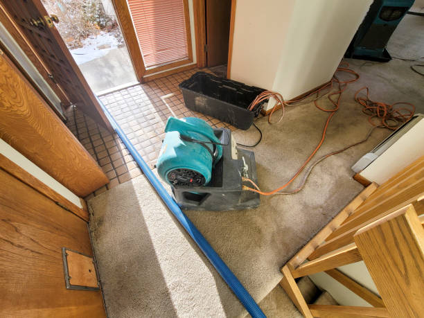 Best Water damage restoration near me  in Keary, NE