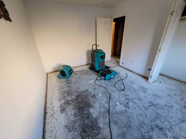 Best Residential water damage restoration  in Keary, NE