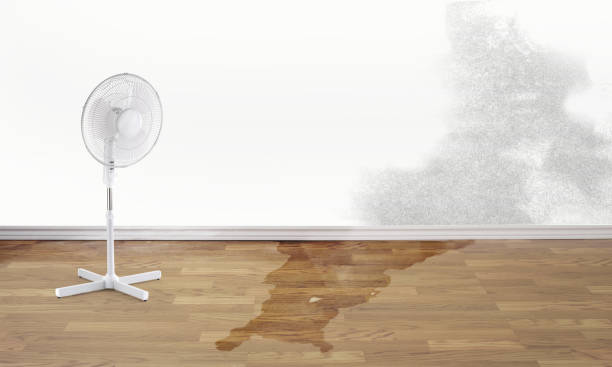 Best Water damage cleanup near me  in Keary, NE