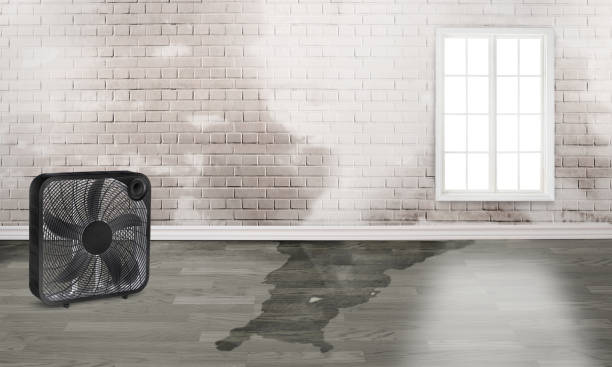 24/7 water damage repair in NE