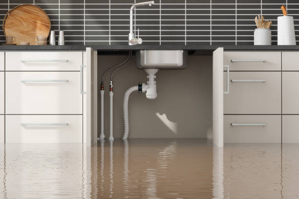 Best Water damage contractors near me  in Keary, NE