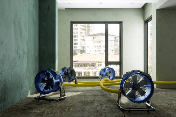 Best Flood restoration services  in Keary, NE